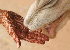 The Ancient Magic of Henna Tattoos